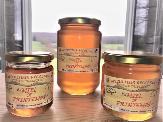 Miel de Montagne printemps 1Kg