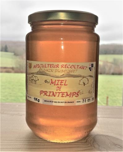 Miel de Montagne printemps 1Kg