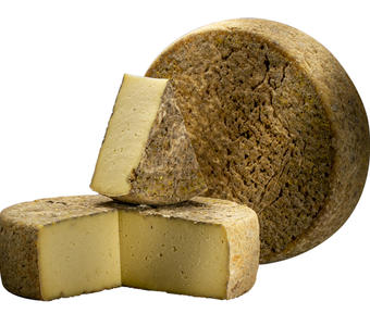 Tome de Rilhac mitée