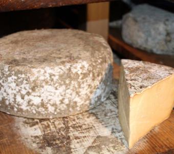 Fourme de Rochefort