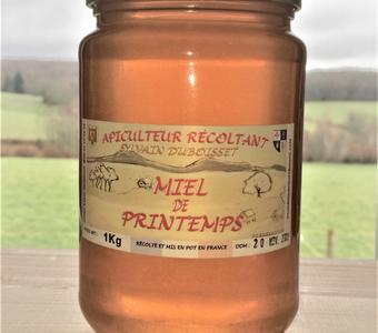 Miel de Montagne printemps 1Kg